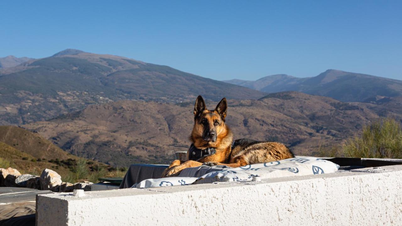 Villa Cortijo La Vista à Orgiva Extérieur photo