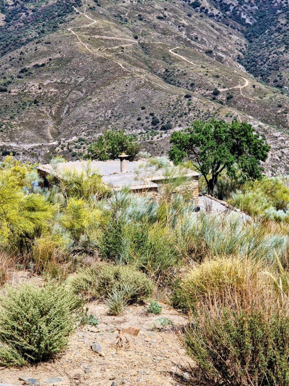 Villa Cortijo La Vista à Orgiva Extérieur photo